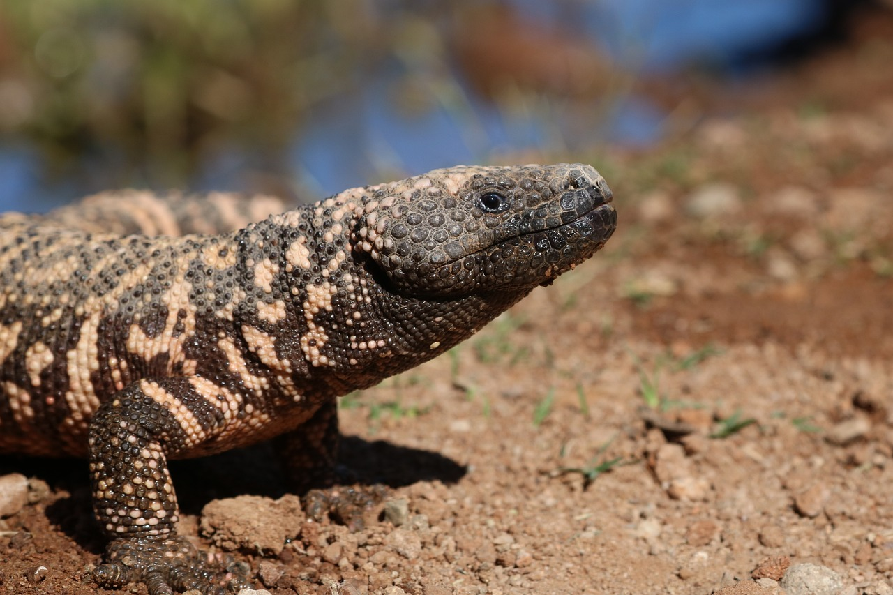10 Creatures That Deliver the Most Painful Stings and Bites