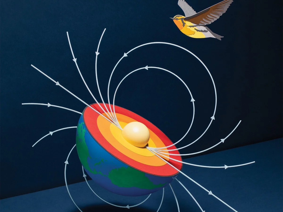 How Animals Use Earth’s Magnetic Field to Navigate the Planet