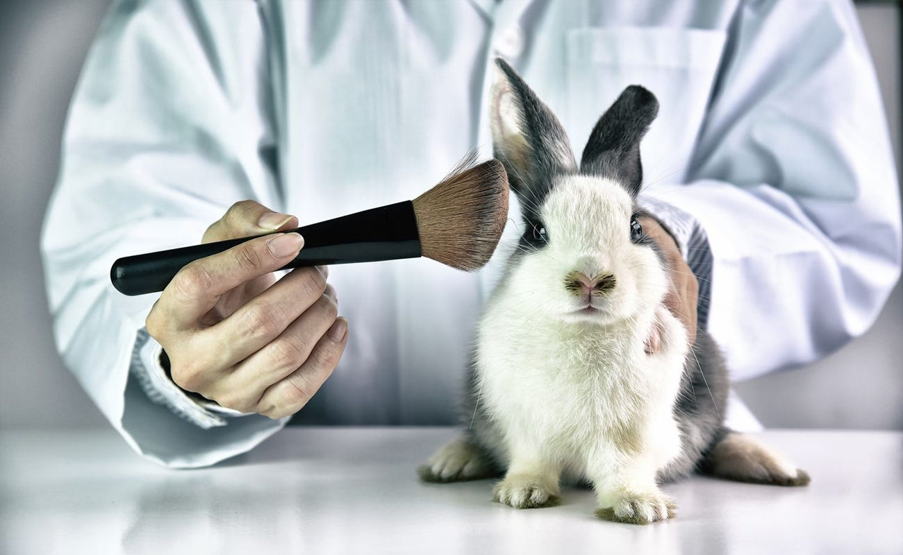Why Is Animal Testing Controversial?